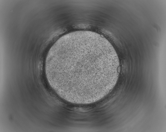X0000113240739200910221100