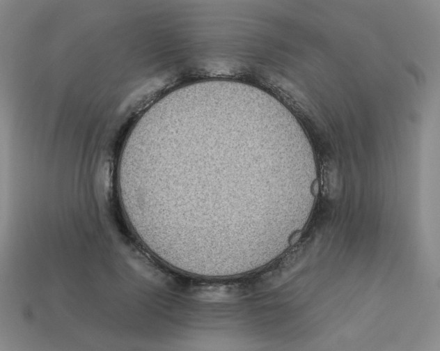 X0000113240740200910221100