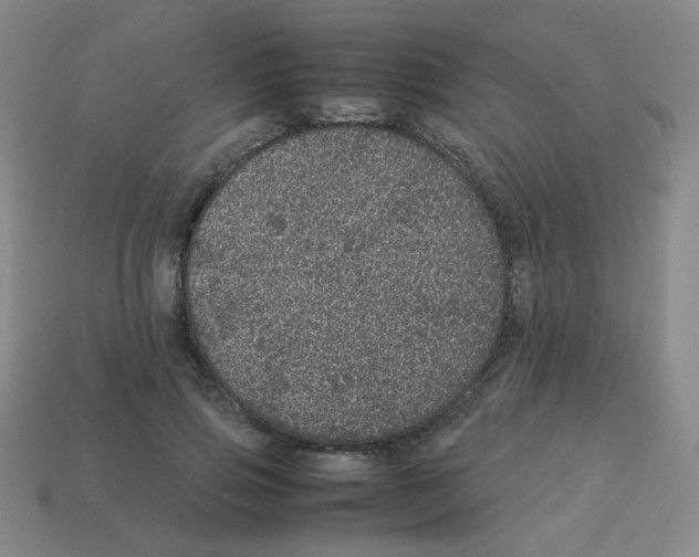 X0000113240741200910221100