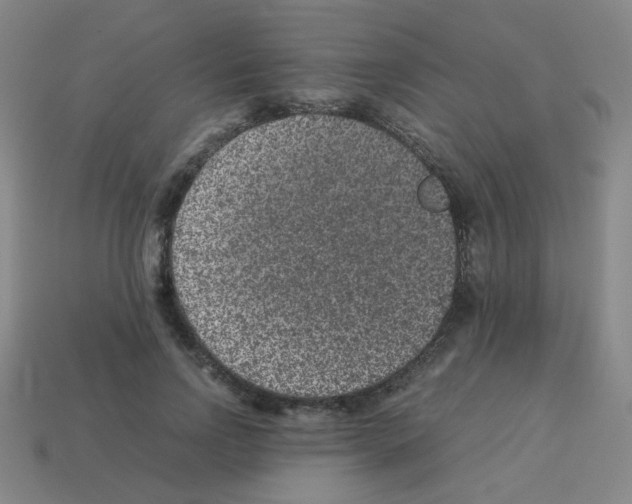 X0000113240742200910221100