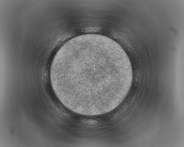 X0000113240743200910221100