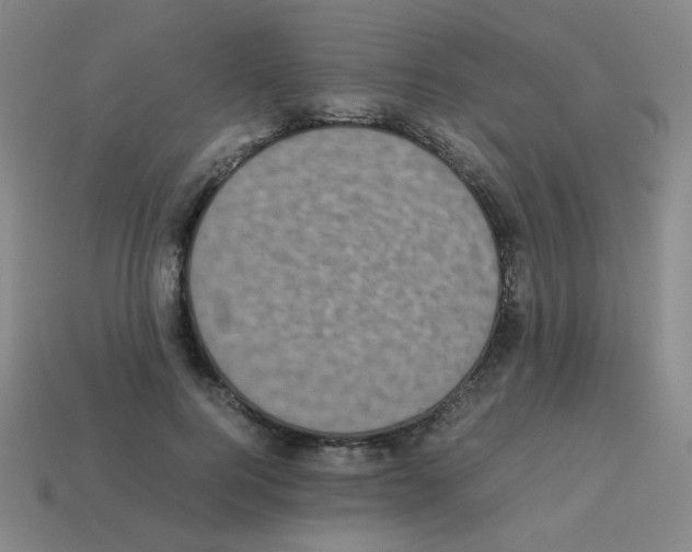 X0000113240744200910221100
