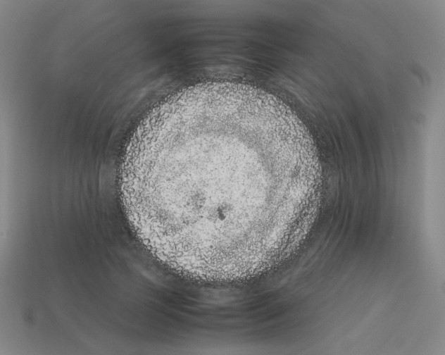 X0000113240745200910221100