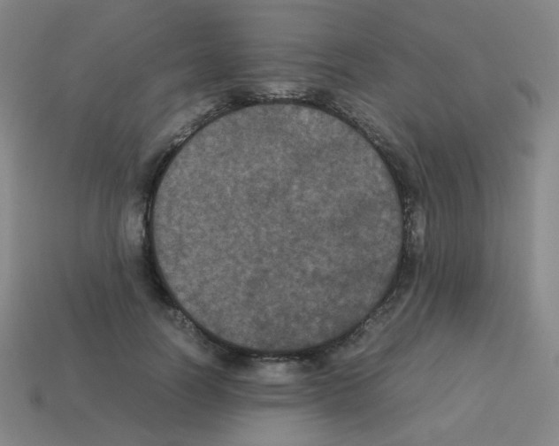 X0000113240746200910221100
