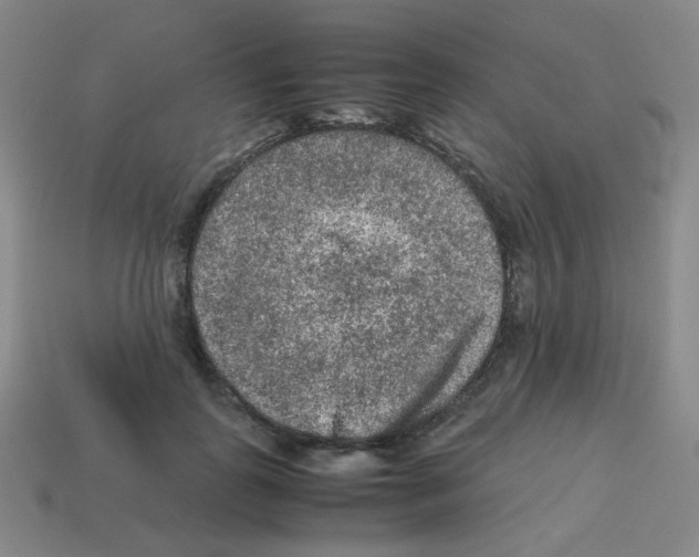 X0000113240747200910221100