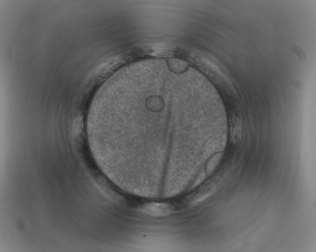 X0000113240748200910221100