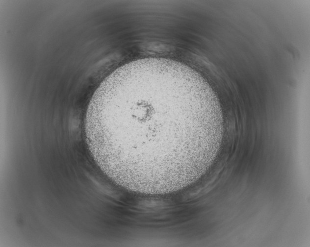 X0000113240749200910221100