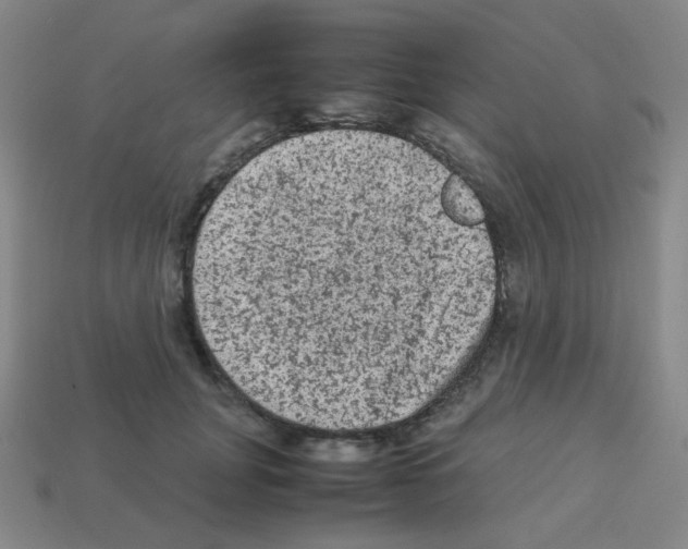 X0000113240751200910221100