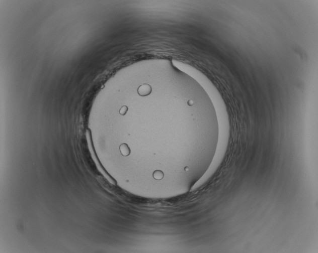 X0000113240752200910221100