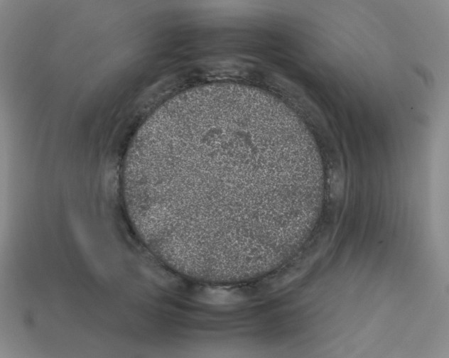 X0000113240753200910221100