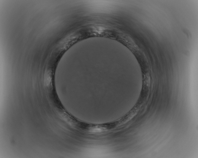 X0000113240754200910221100