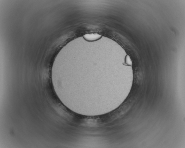 X0000113240756200910221100