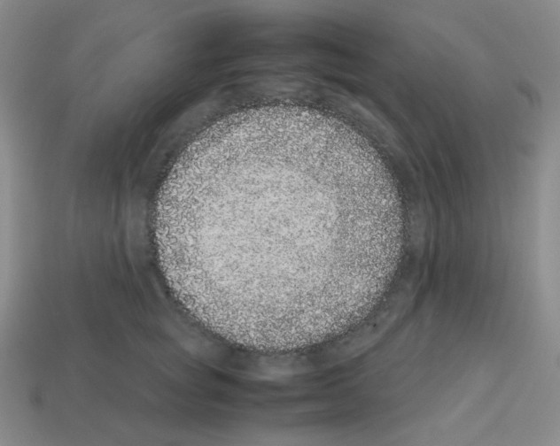 X0000113240757200910221100
