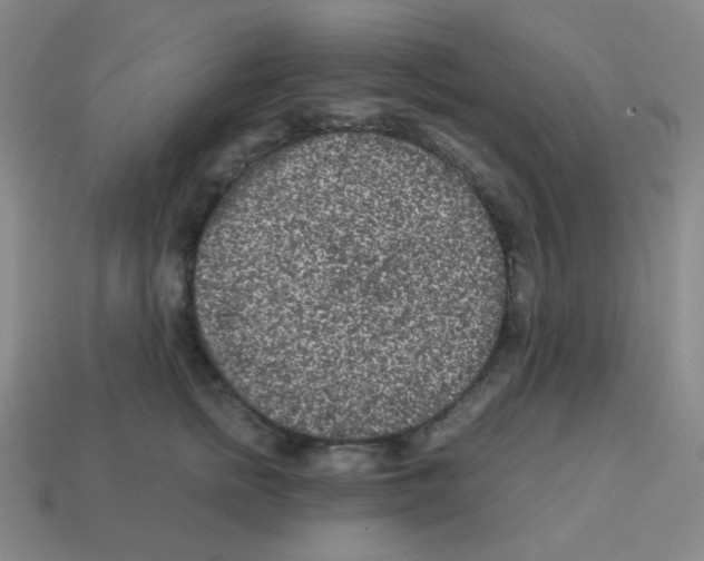 X0000113240758200910221100