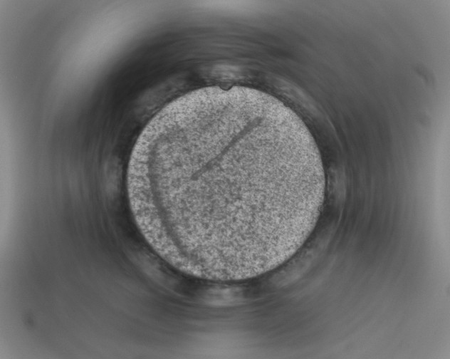 X0000113240760200910221100