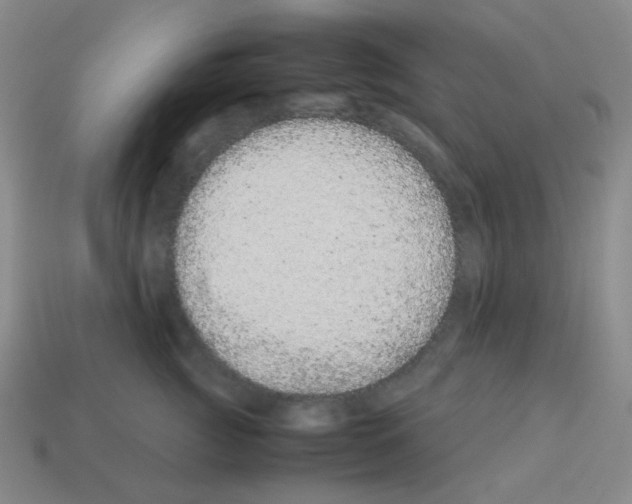 X0000113240761200910221100
