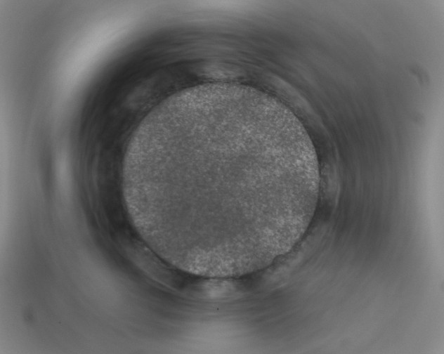 X0000113240762200910221100