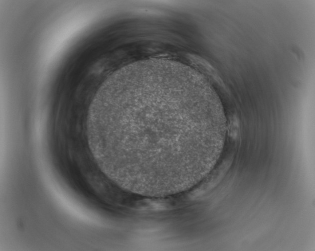 X0000113240763200910221100