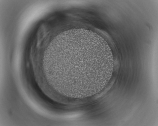 X0000113240765200910221100