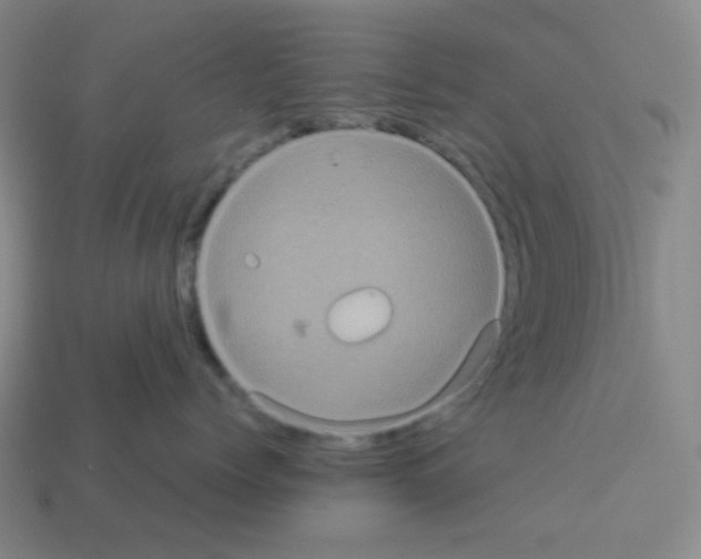 X0000113240768200910221100