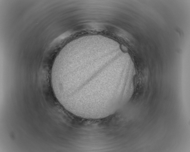 X0000113240773200910221100