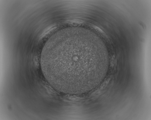 X0000113240774200910221100