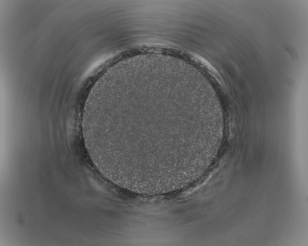X0000113240775200910221100