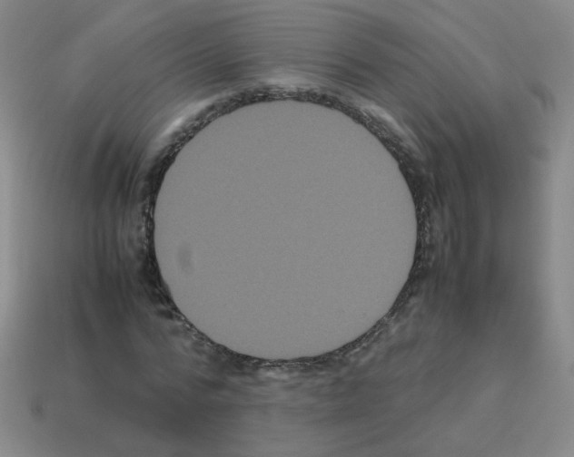 X0000113240776200910221100