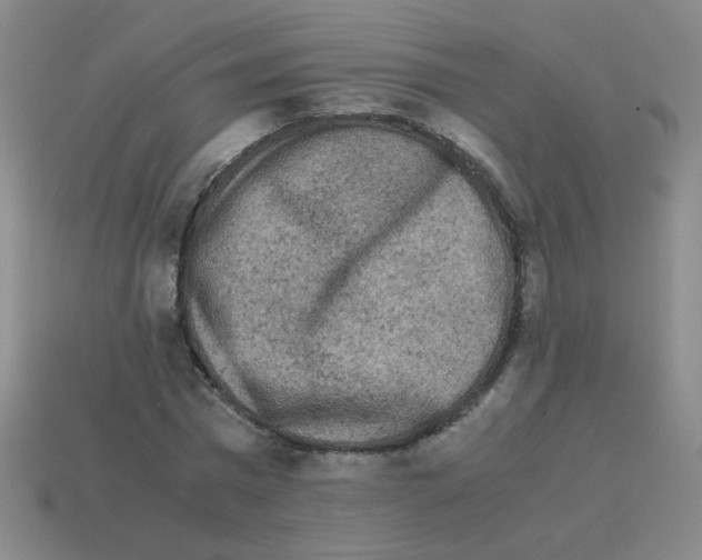 X0000113240777200910221100