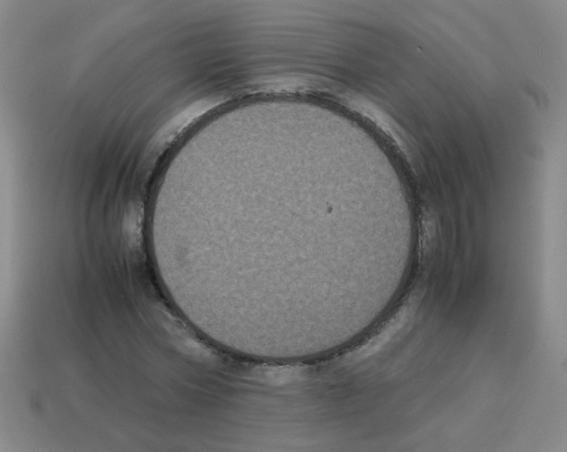 X0000113240778200910221100