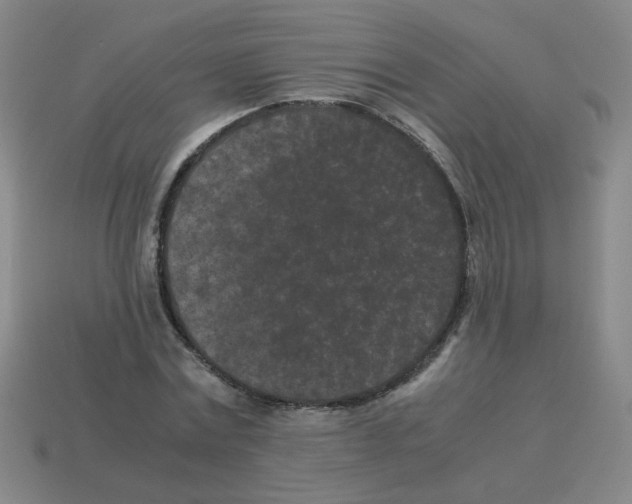 X0000113240779200910221100