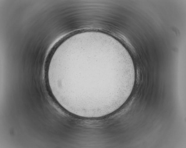 X0000113240780200910221059