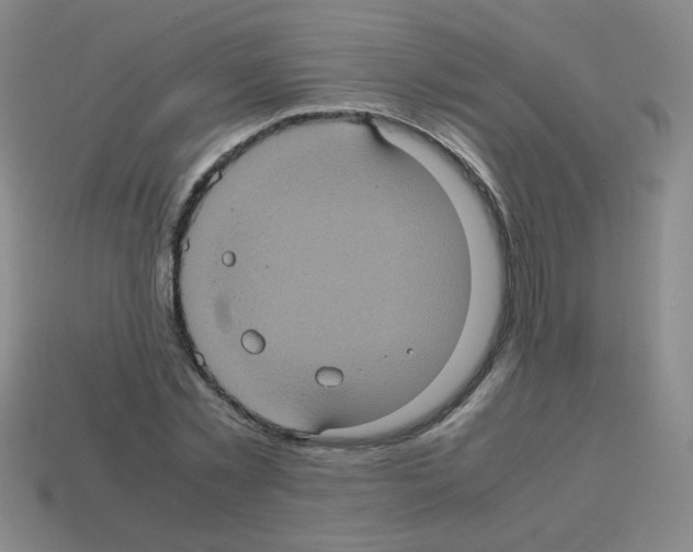 X0000113240781200910221059
