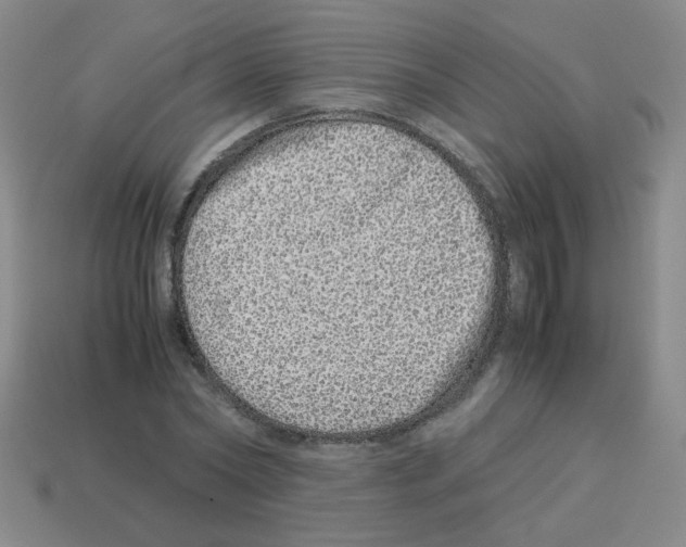 X0000113240782200910221059