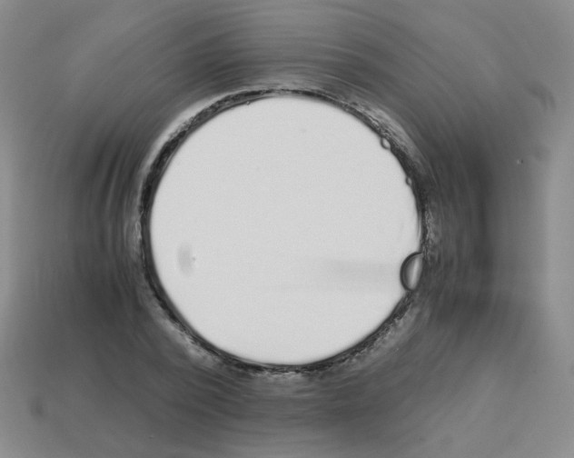 X0000113240784200910221059