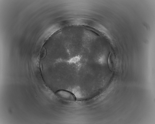 X0000113240785200910221059