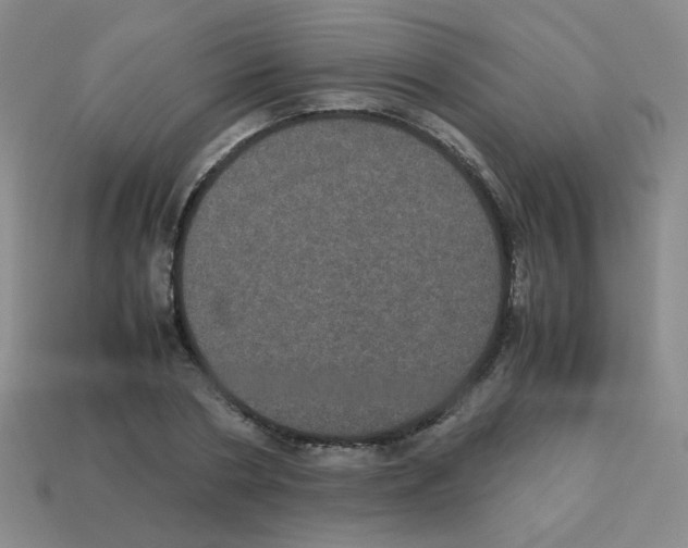 X0000113240786200910221059