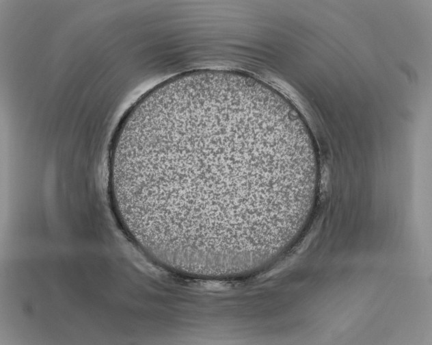 X0000113240787200910221059