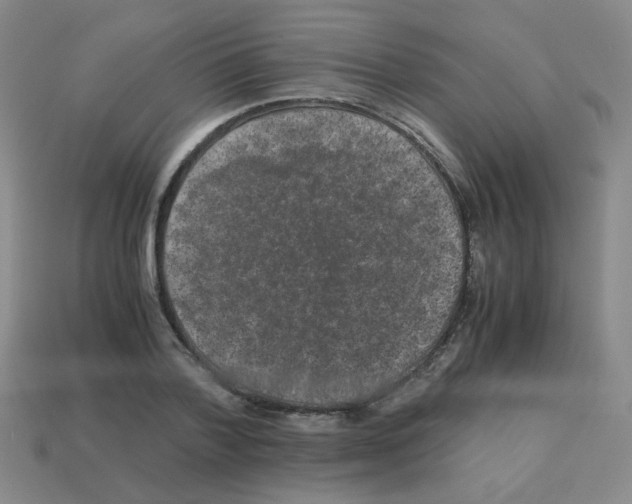 X0000113240788200910221059