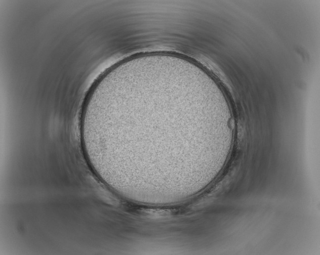 X0000113240789200910221059