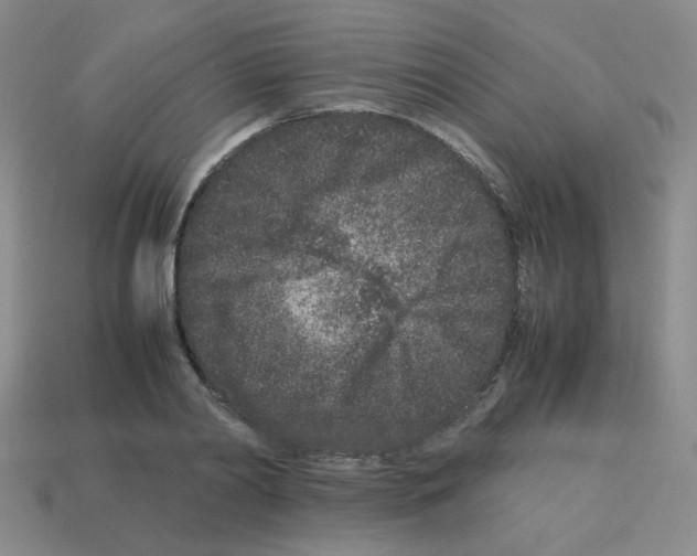 X0000113240790200910221059