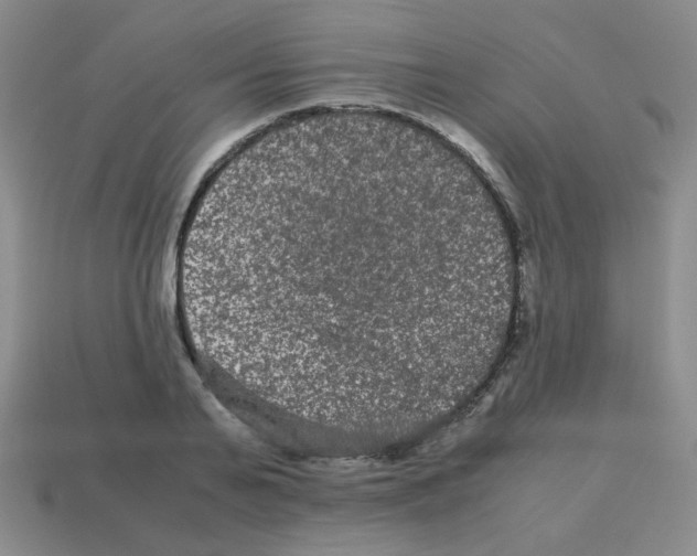 X0000113240791200910221059