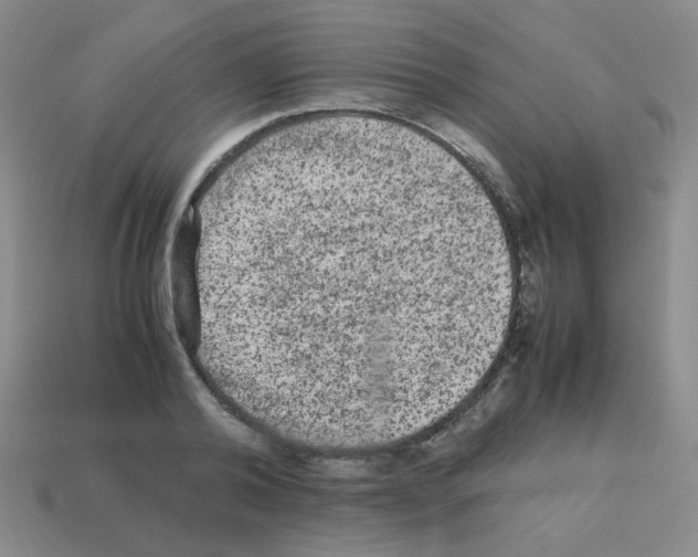 X0000113240792200910221059