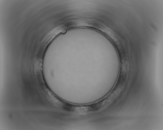 X0000113240793200910221059