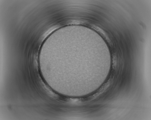 X0000113240794200910221059