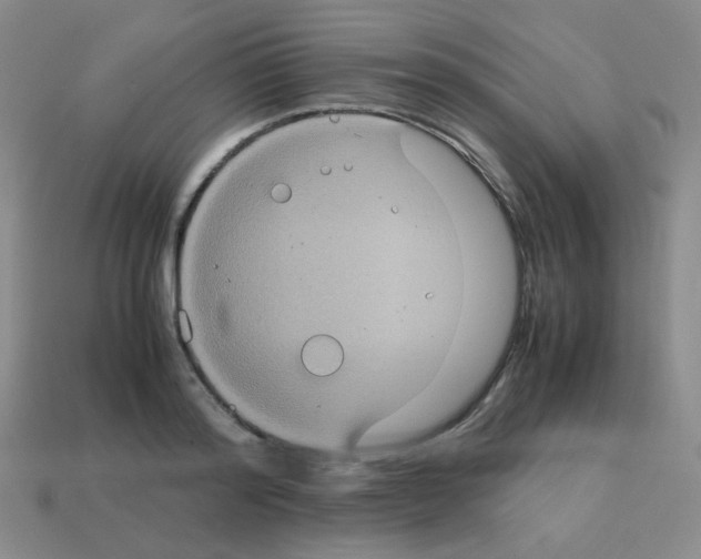 X0000113240796200910221059