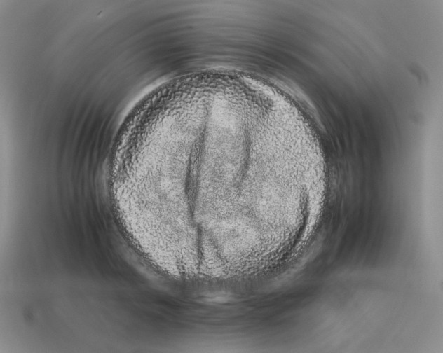 X0000113240798200910221059