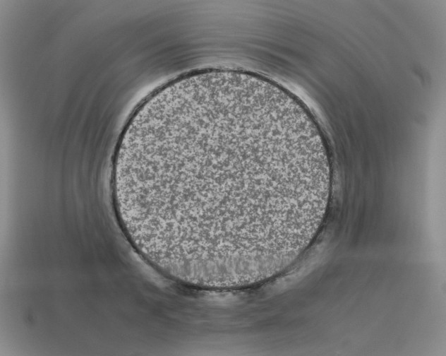 X0000113240799200910221059