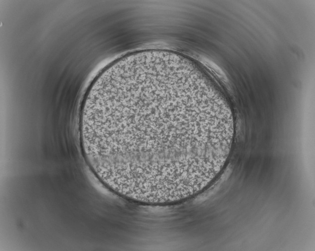 X0000113240800200910221059