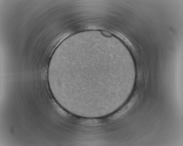 X0000113240801200910221059